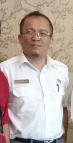 Kadis DPM PTSP, Fauzi Darwas